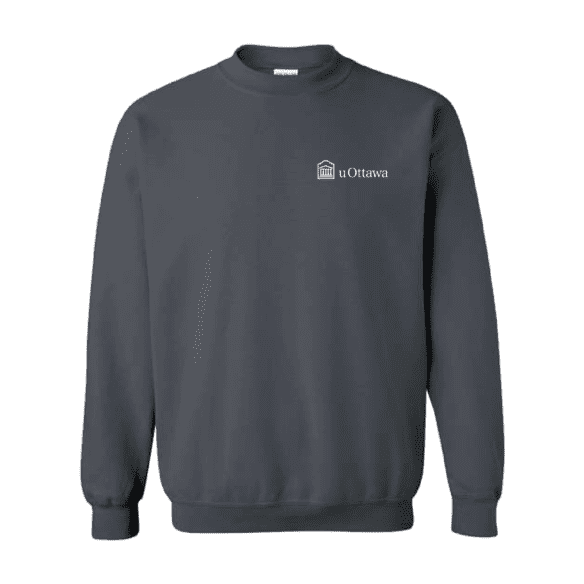 GNA Crewneck Sweatshirt - Charcoal- EN